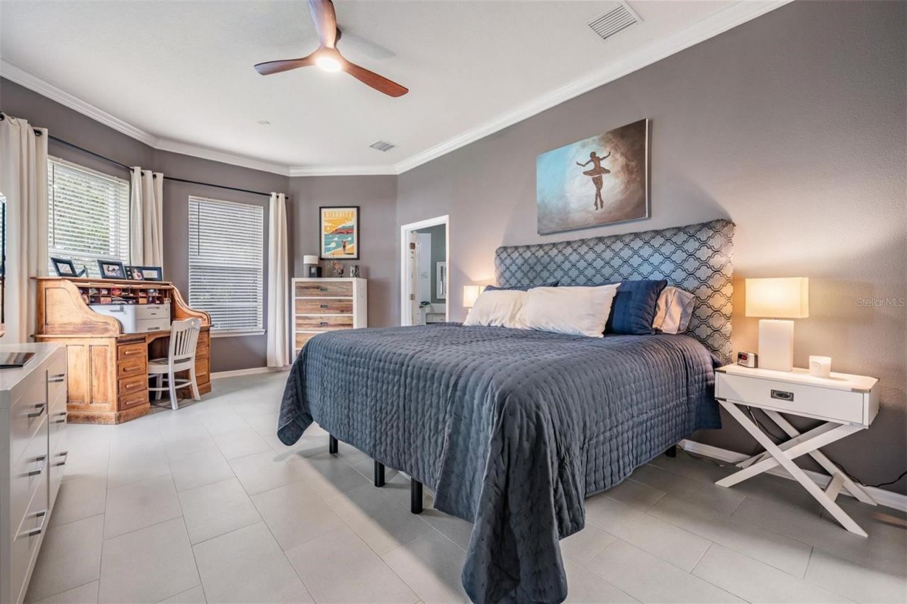 14607 Canopy Drive, Tampa, FL 33626 Photo