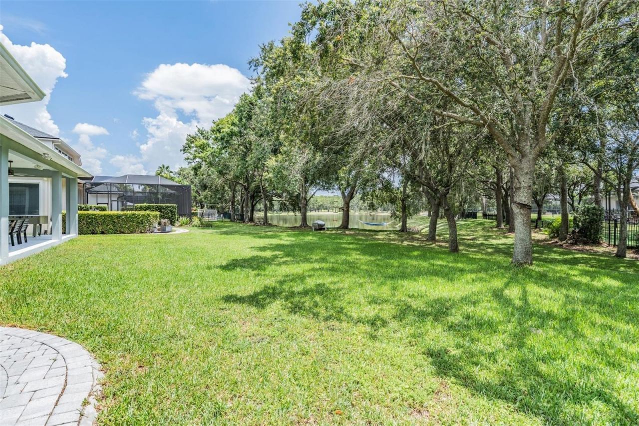 14607 Canopy Drive, Tampa, FL 33626 Photo