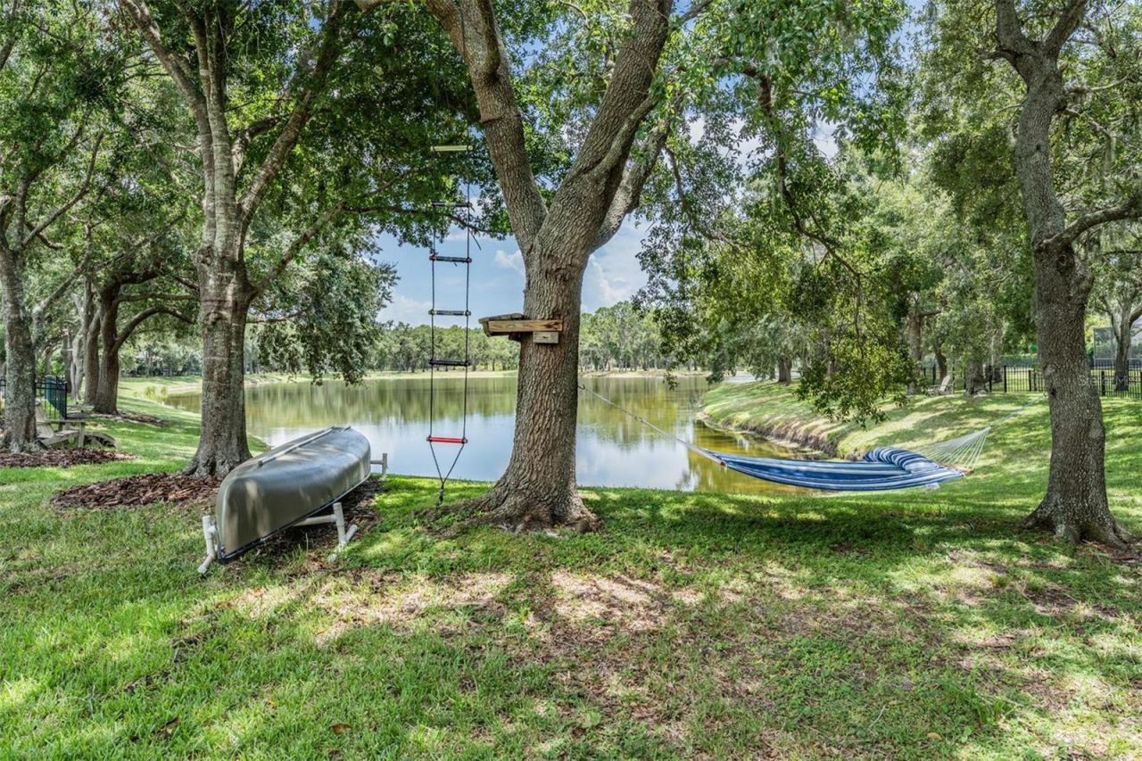 14607 Canopy Drive, Tampa, FL 33626 Photo