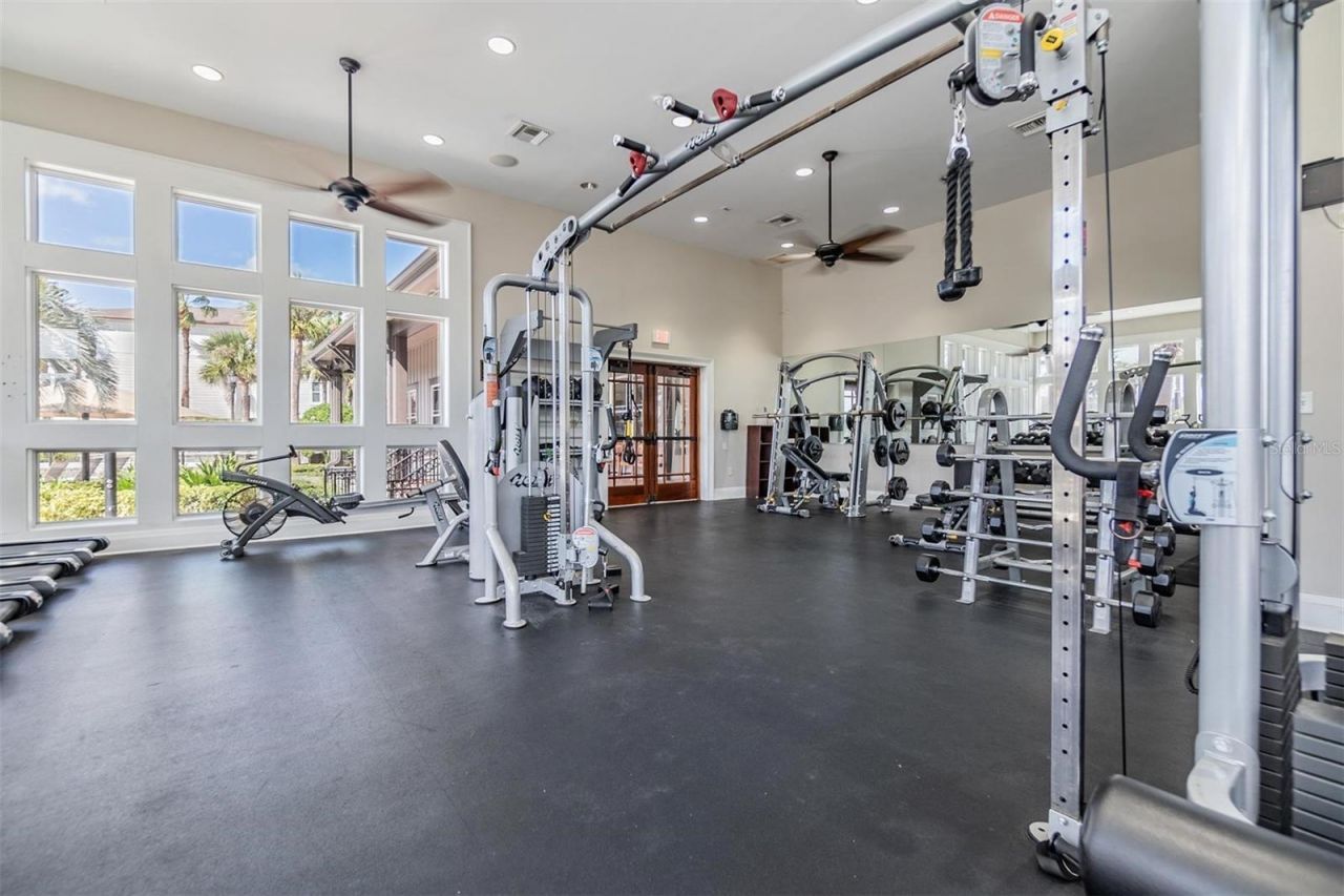 14607 Canopy Drive, Tampa, FL 33626 Photo
