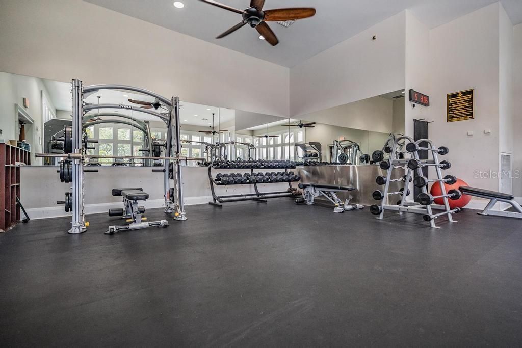 14607 Canopy Drive, Tampa, FL 33626 Photo
