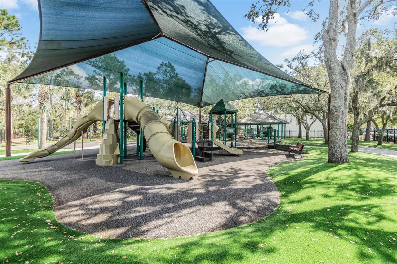 14607 Canopy Drive, Tampa, FL 33626 Photo