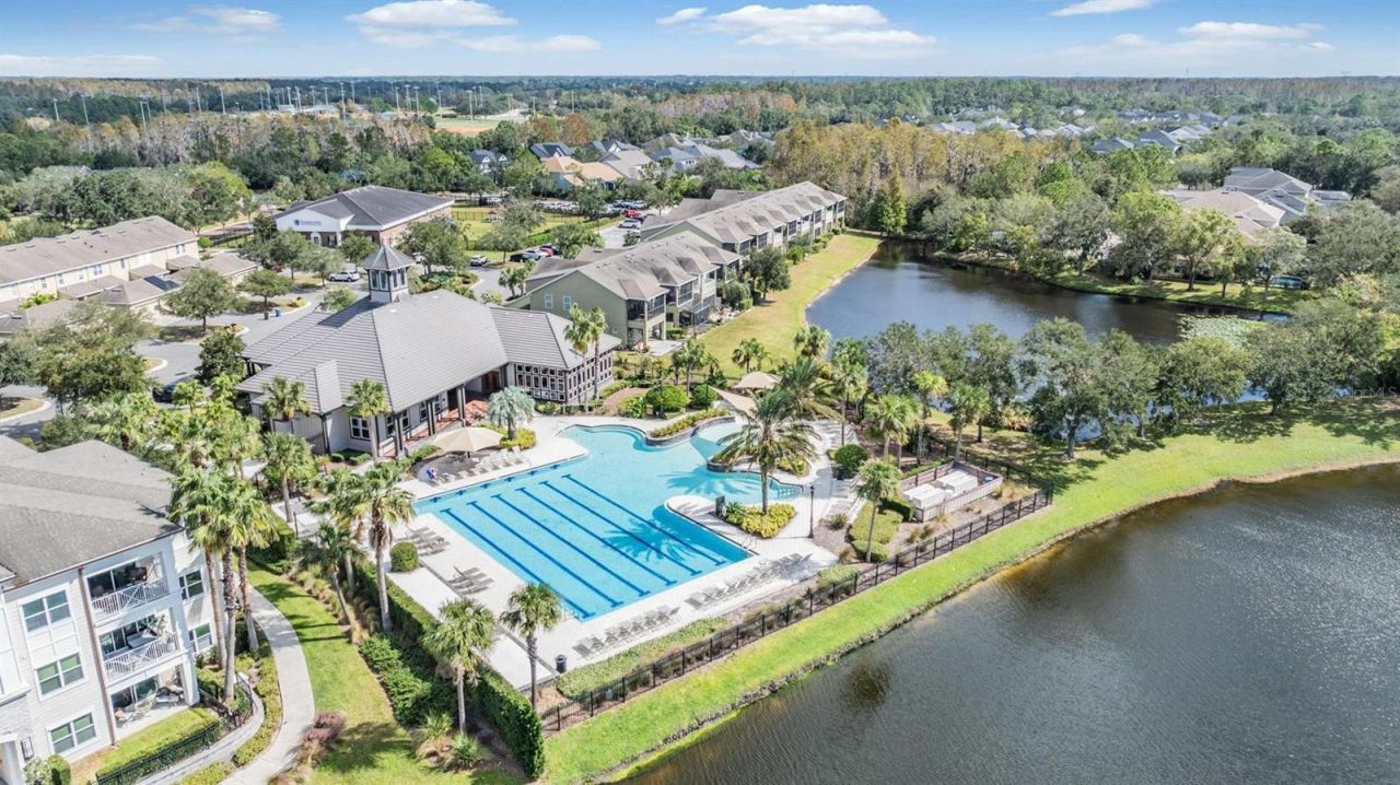 14607 Canopy Drive, Tampa, FL 33626 Photo