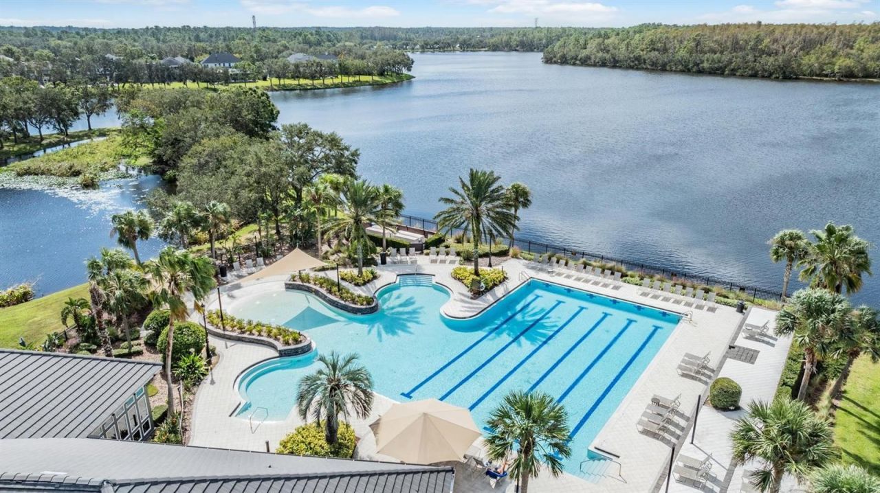 14607 Canopy Drive, Tampa, FL 33626 Photo