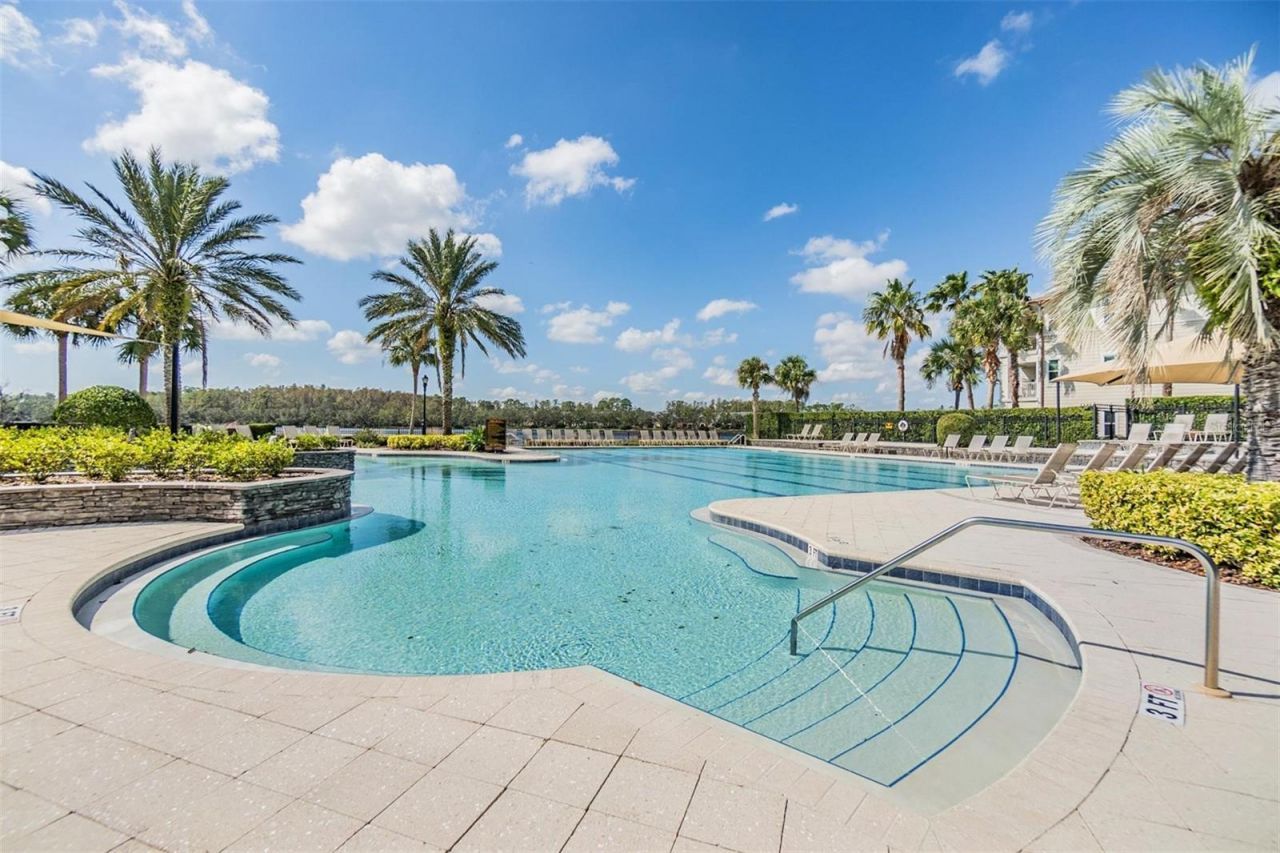 14607 Canopy Drive, Tampa, FL 33626 Photo