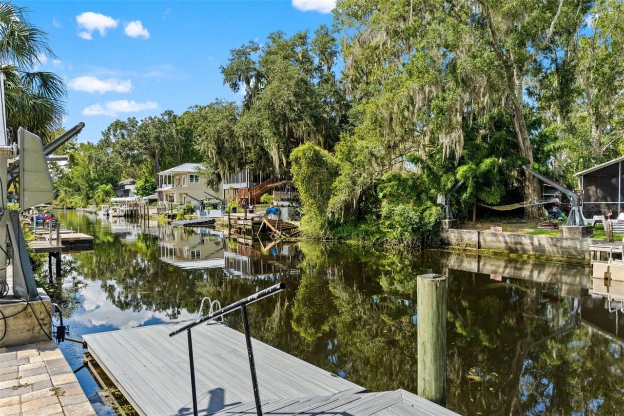 6496 W Richard Drive, Weeki Wachee, FL 34607 Photo