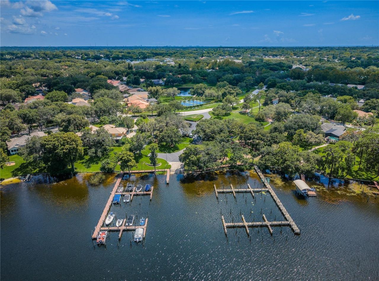 2233 Pinnacle Circle S, Palm Harbor, FL 34684 Photo