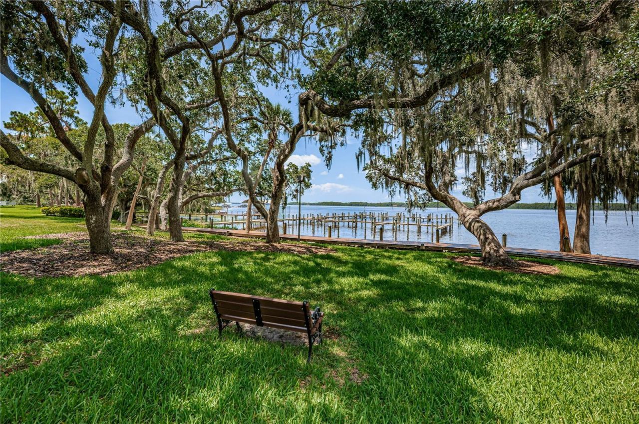 2233 Pinnacle Circle S, Palm Harbor, FL 34684 Photo