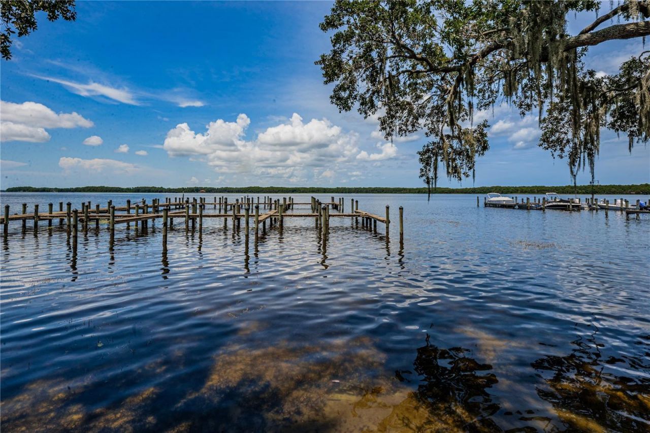 2233 Pinnacle Circle S, Palm Harbor, FL 34684 Photo
