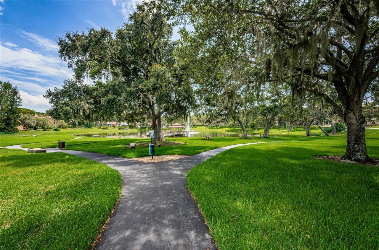 2233 Pinnacle Circle S, Palm Harbor, FL 34684 Photo