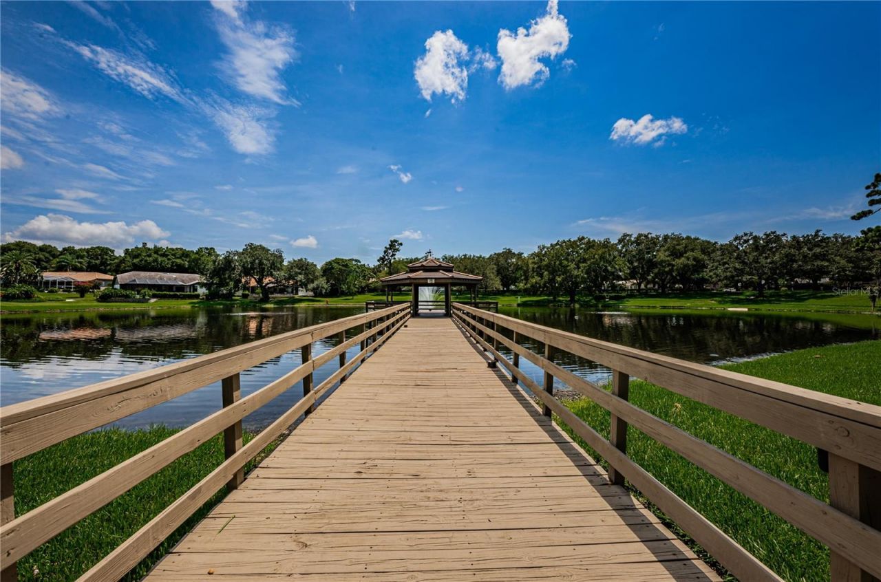 2233 Pinnacle Circle S, Palm Harbor, FL 34684 Photo