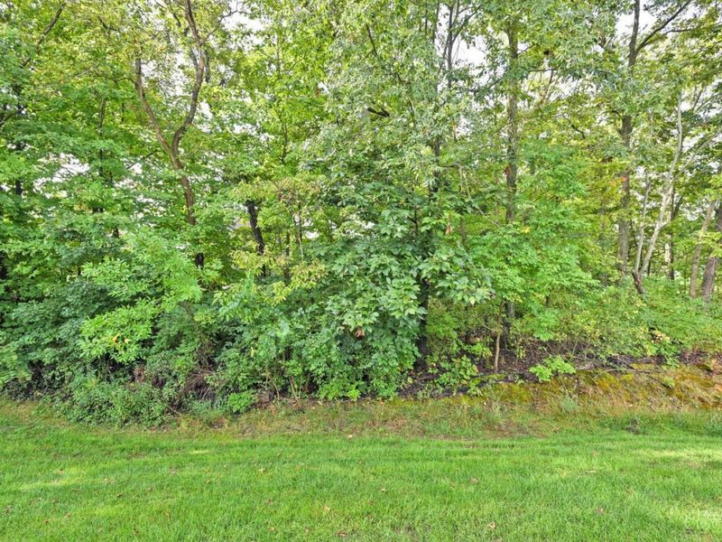 1341 Brookchase Circle, Hamilton Township, OH 45039 Photo 34