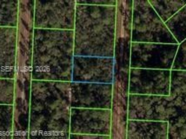 718 Neale Street , Lake Placid, FL 33852