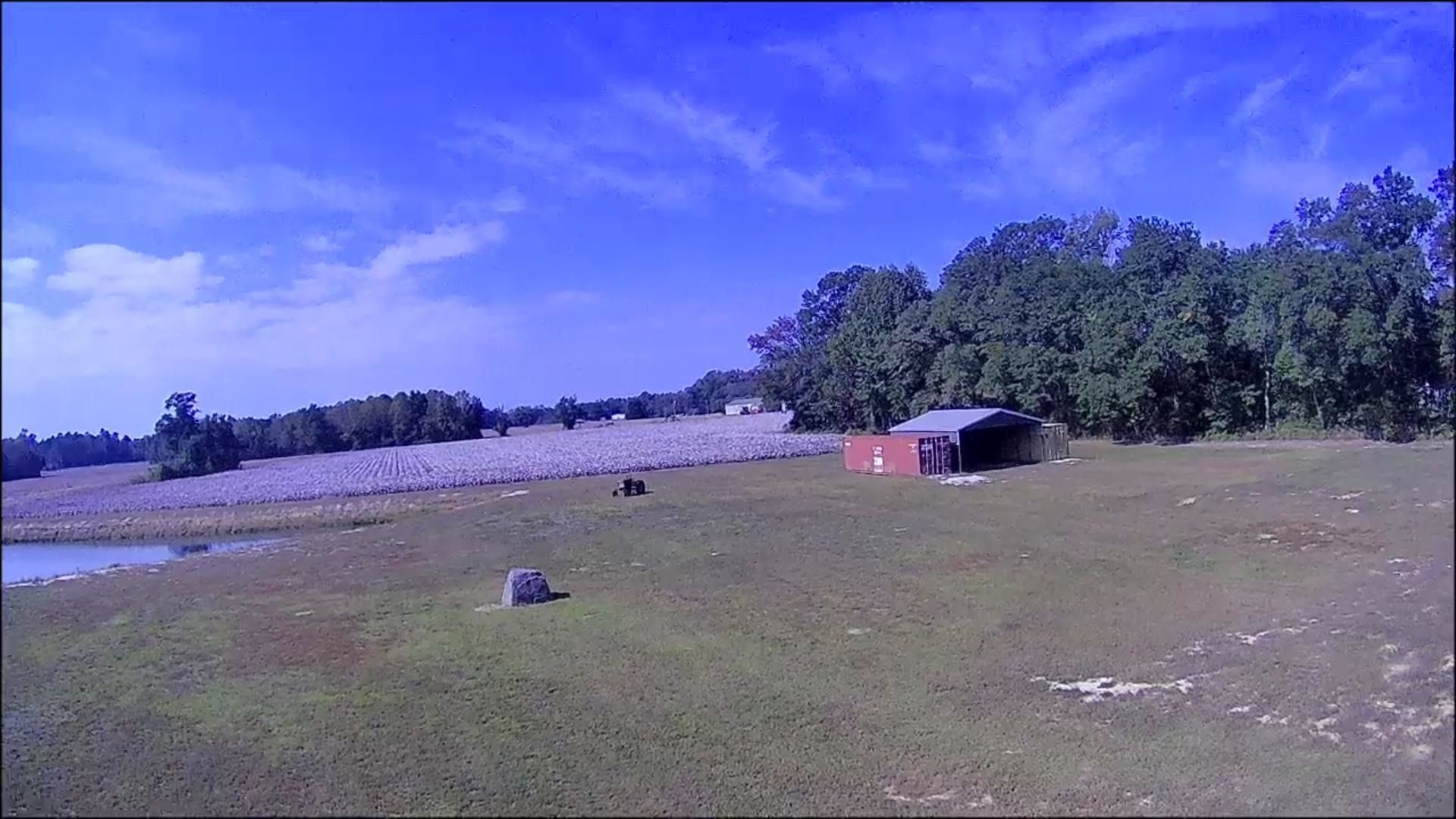 1174 Justice Loop Photo 37