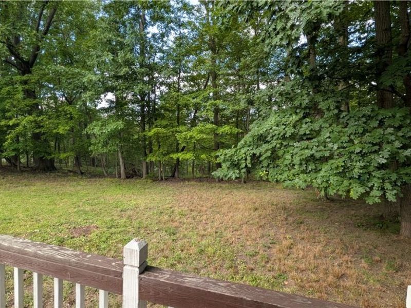 197 Forest Drive, Bedford, OH 44146 Photo 7