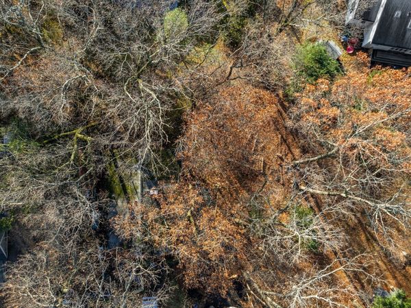 30 Harbell Street, Lexington, MA 02321