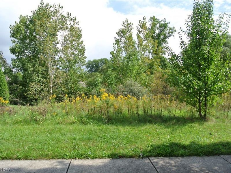 8816 Garnet Way, Streetsboro, OH 44241 Photo 2