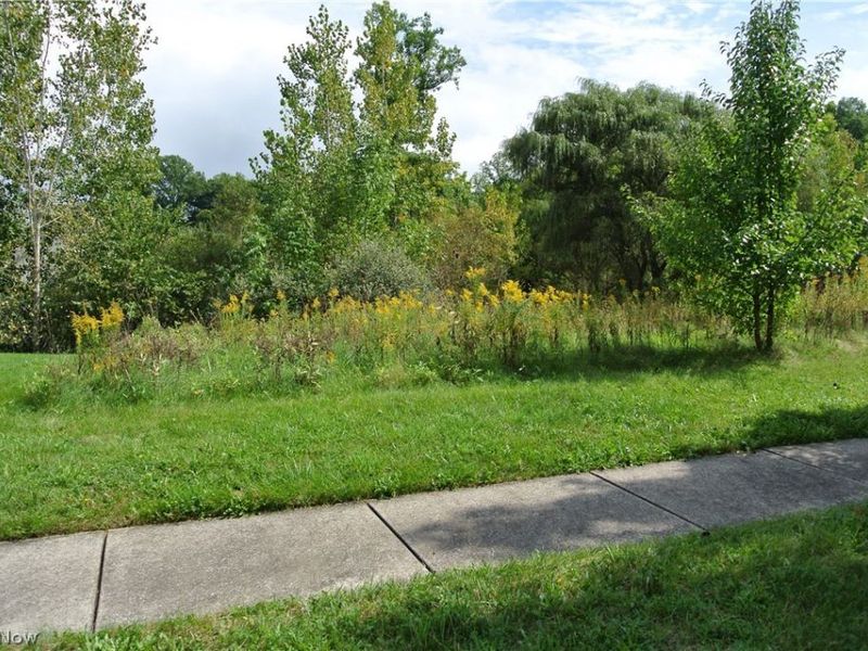8816 Garnet Way, Streetsboro, OH 44241 Photo 3