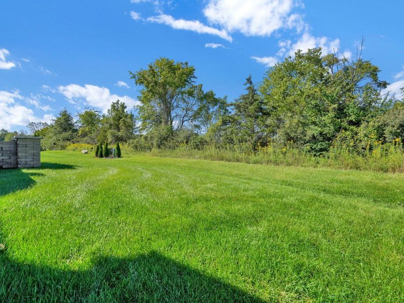 10934 Bellflower Drive, Plain City, OH 43064 Photo 52