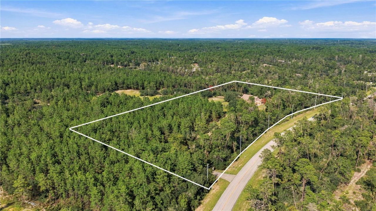 4559 W Dunklin Street, Dunnellon, FL 34433 Photo