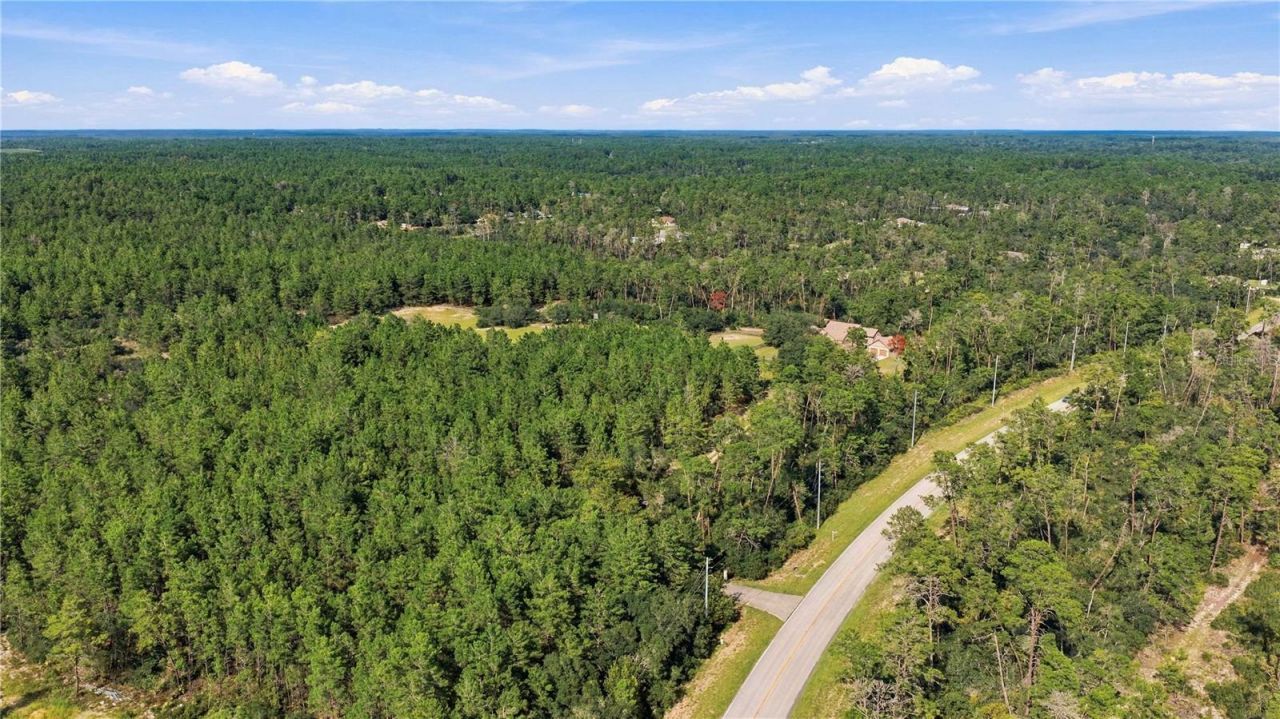 4559 W Dunklin Street, Dunnellon, FL 34433 Photo