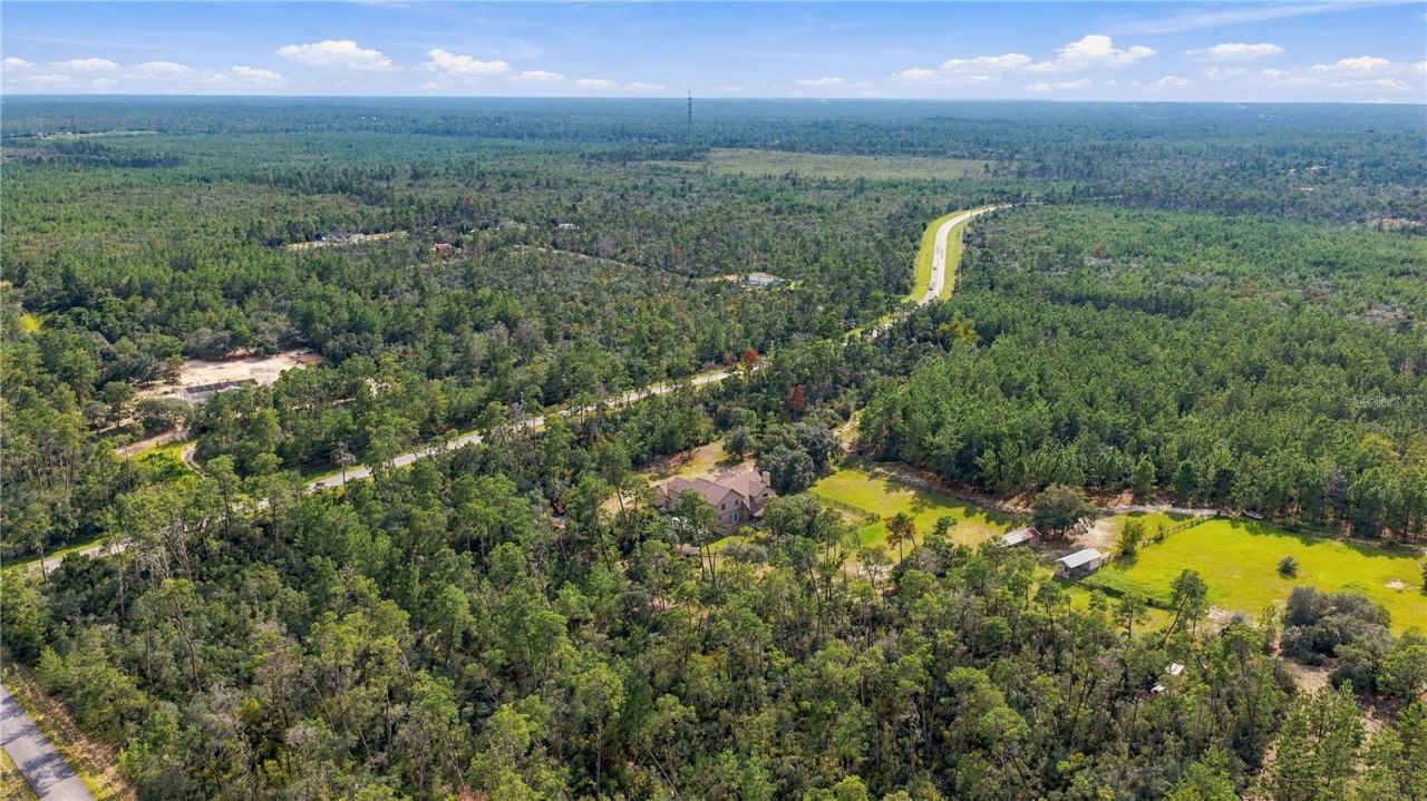 4559 W Dunklin Street, Dunnellon, FL 34433 Photo