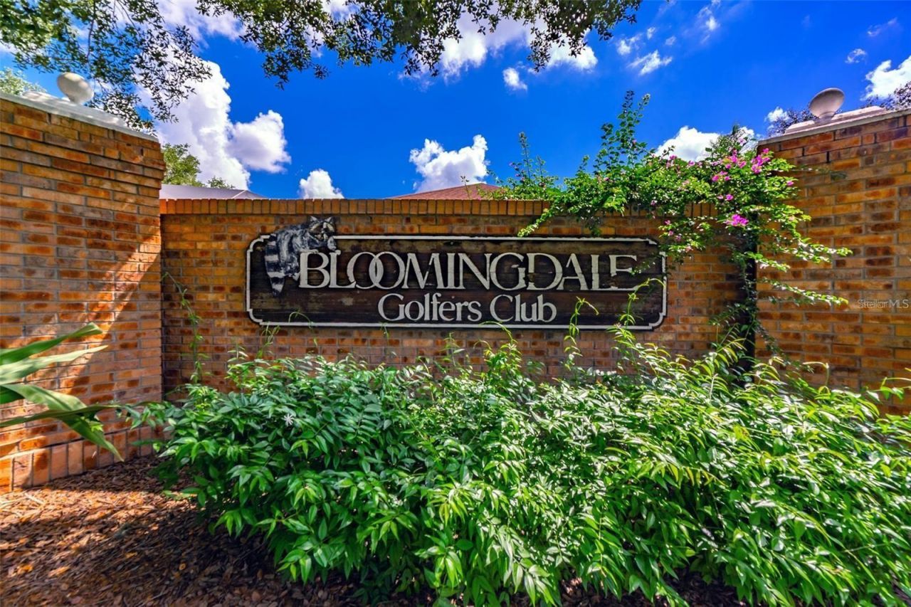 4430 Merrick Run Lane, Valrico, FL 33596 Photo