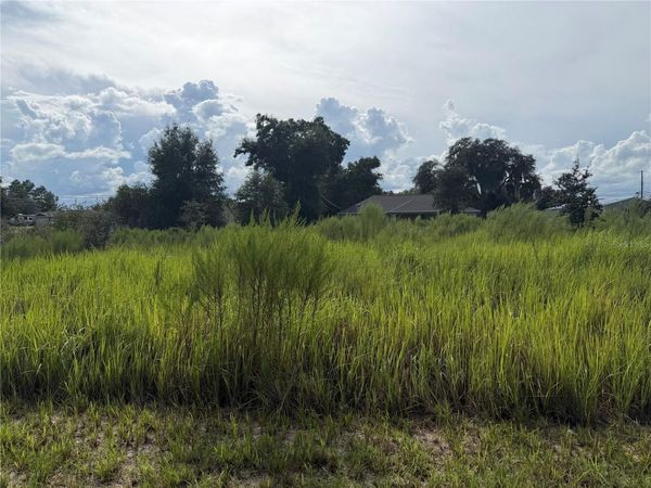 TBD LOCUST PASS LOOP , OCALA, FL 34472