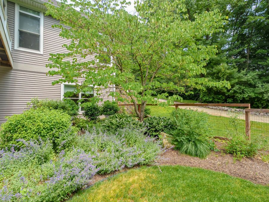 Property Image 58