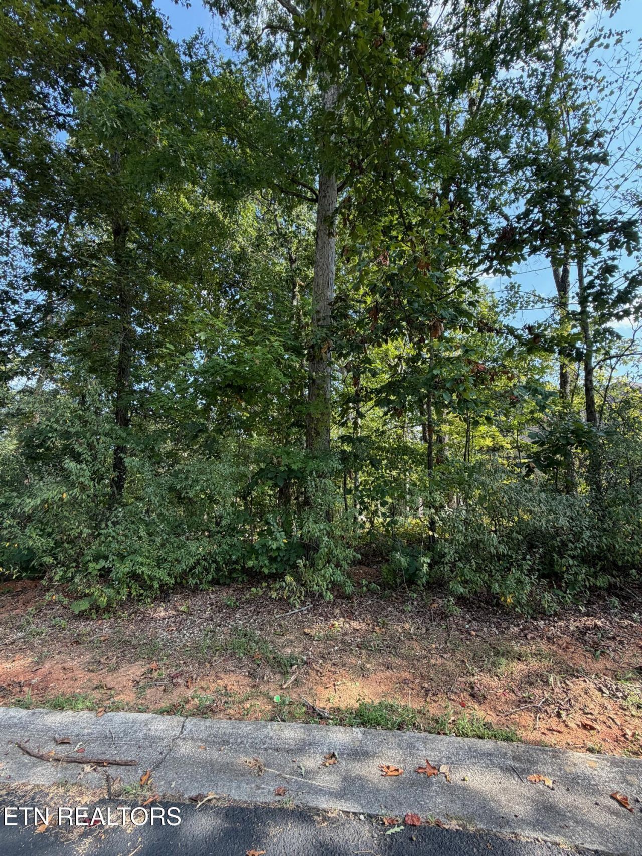 211 Ottawa Place, Loudon, TN 37774 Main Photo