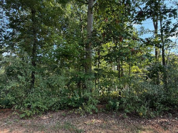 211 Ottawa Place, Loudon, TN 37774
