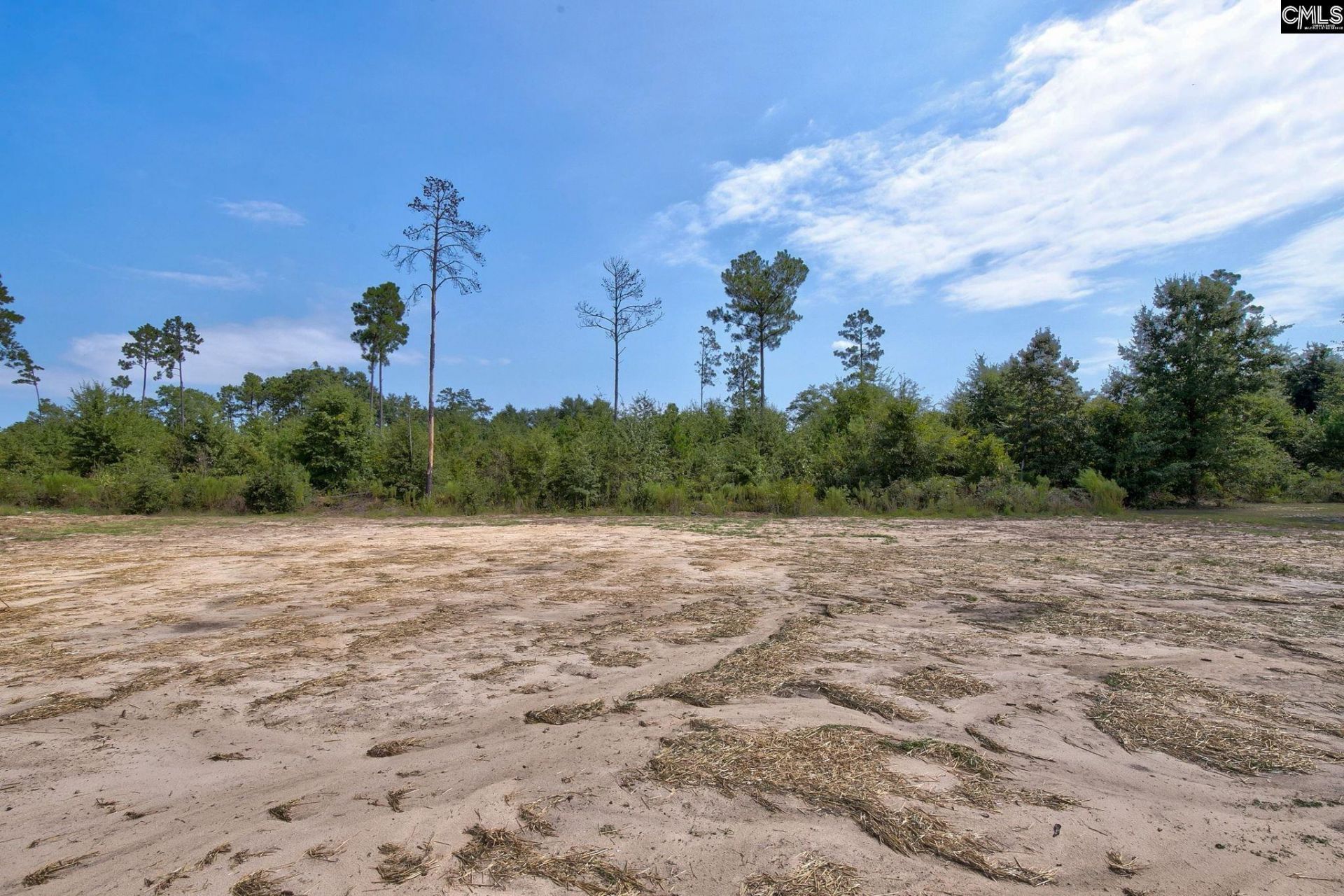 1506 Hall Road  Photo 34