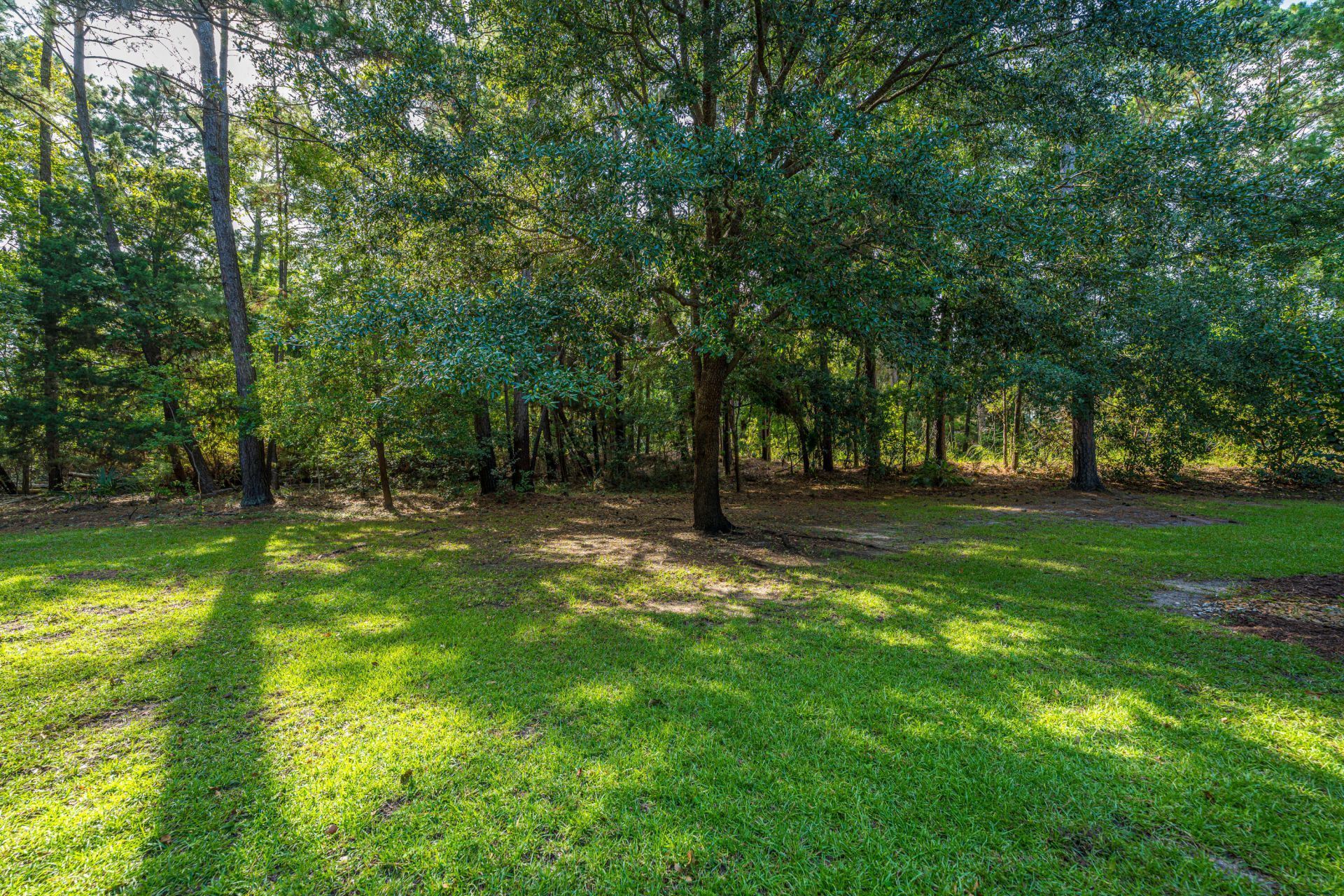 1171 Ballyliffen Drive Photo 31