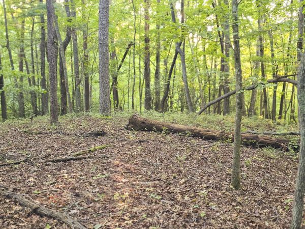 LOT 20 Seye Wailo Trail, Clarkesville, GA 30523