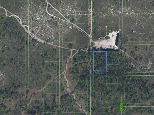 881 Papaya Street , Lake Placid, FL 33852