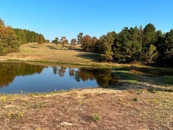 85 Acres Hwy 182 , Amity, AR 71921