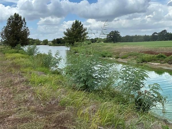 000 Old Potato RD, Paige, TX 78659