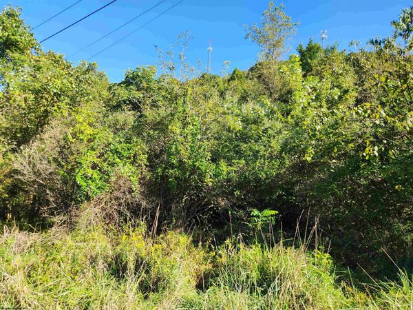 TBD HEAVENER Avenue, Stonewood, WV 26301