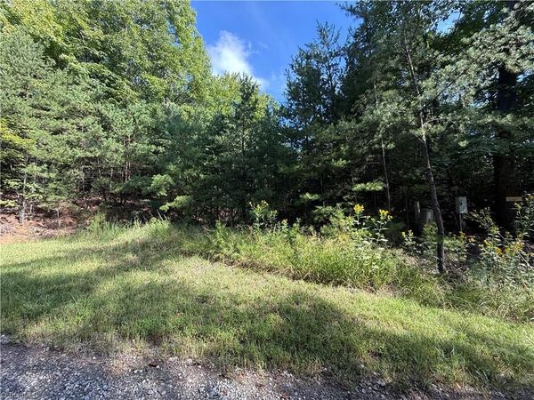 Lot 24 Wolf Pen Road, Purlear, NC 28665