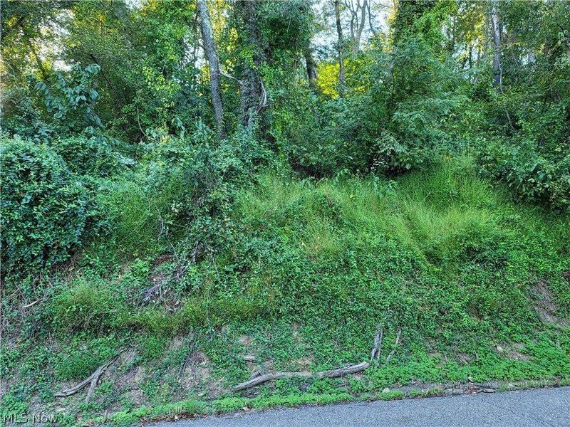 0 Grandview, Rayland, OH 43943 Photo 2