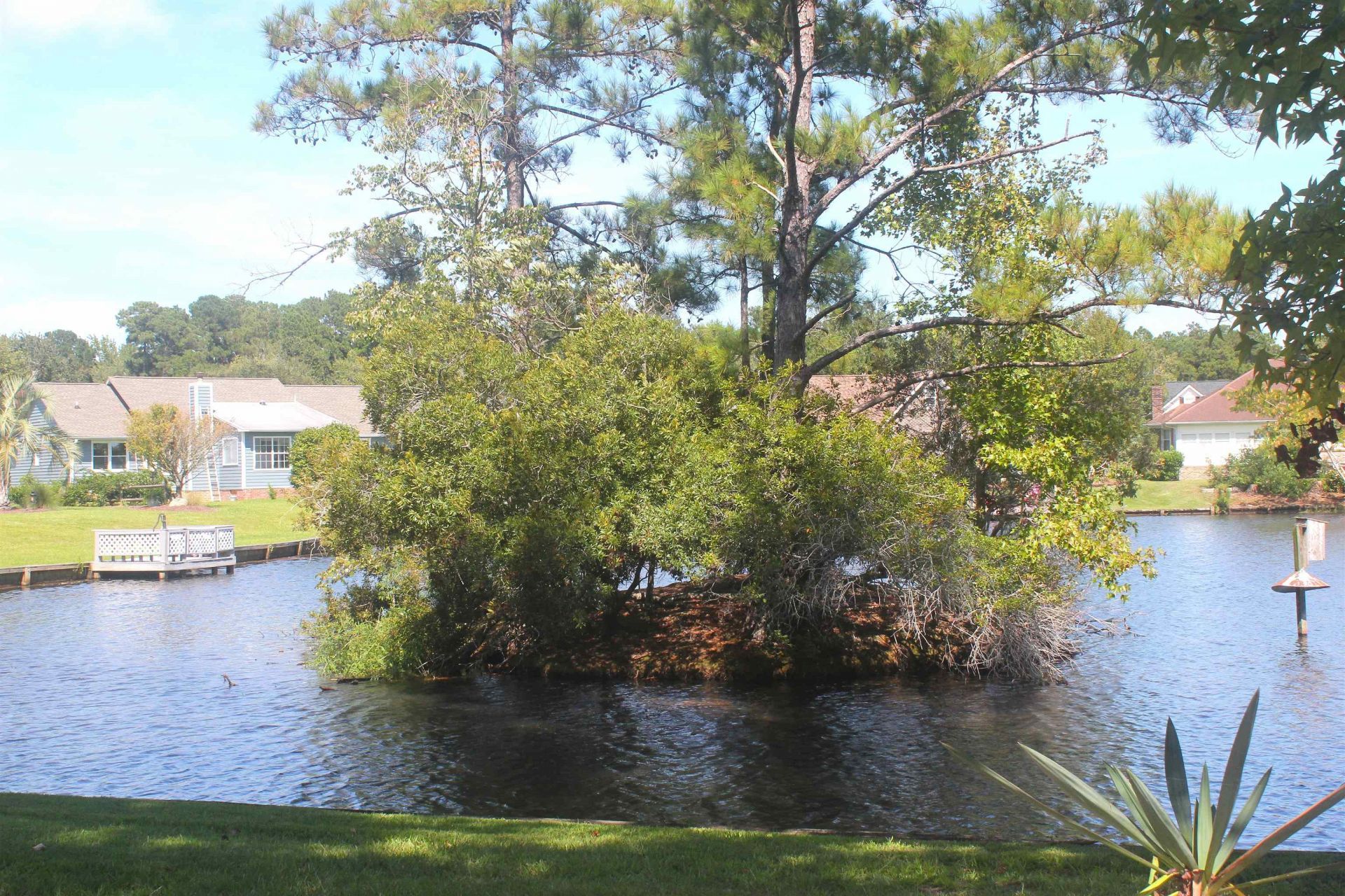 505 Reedy River Rd.  Photo 26