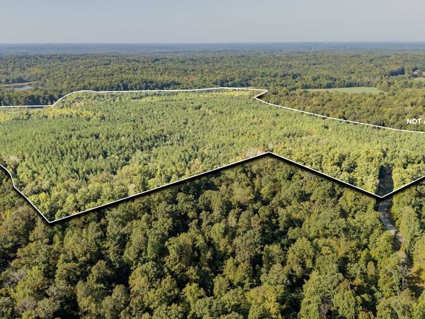 0 Baudy James Rd, Cedar Grove, TN 38321