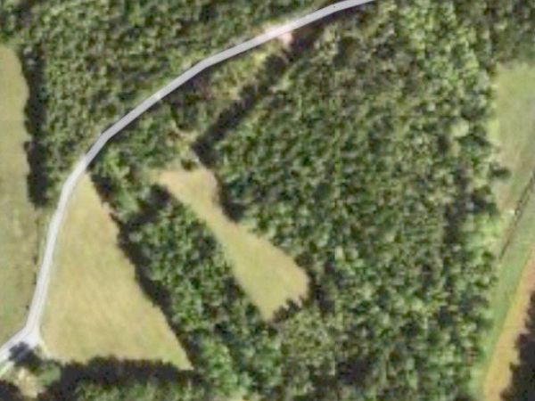 255 McBride Cemetery Rd , Sardis, TN 38371