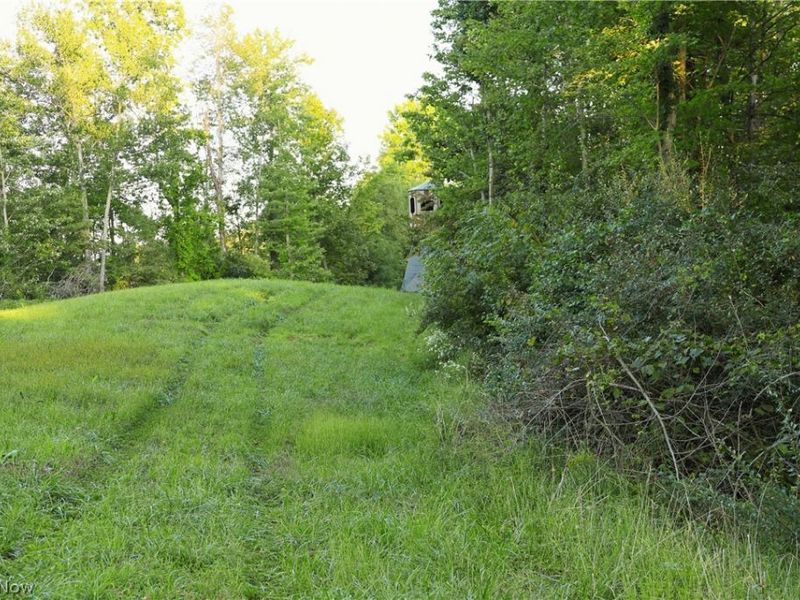 Yoker Valley Road, Quaker City, OH 43773 Photo 1