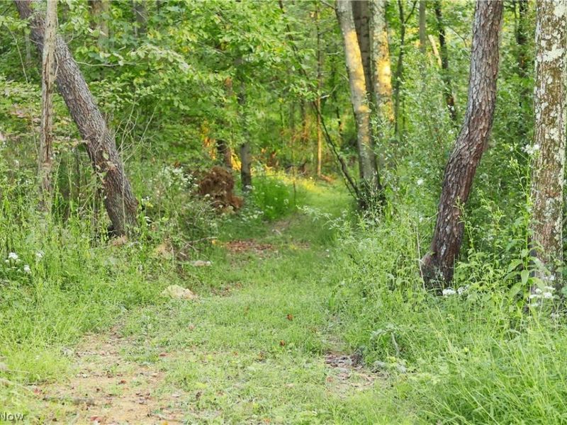 Yoker Valley Road, Quaker City, OH 43773 Photo 13