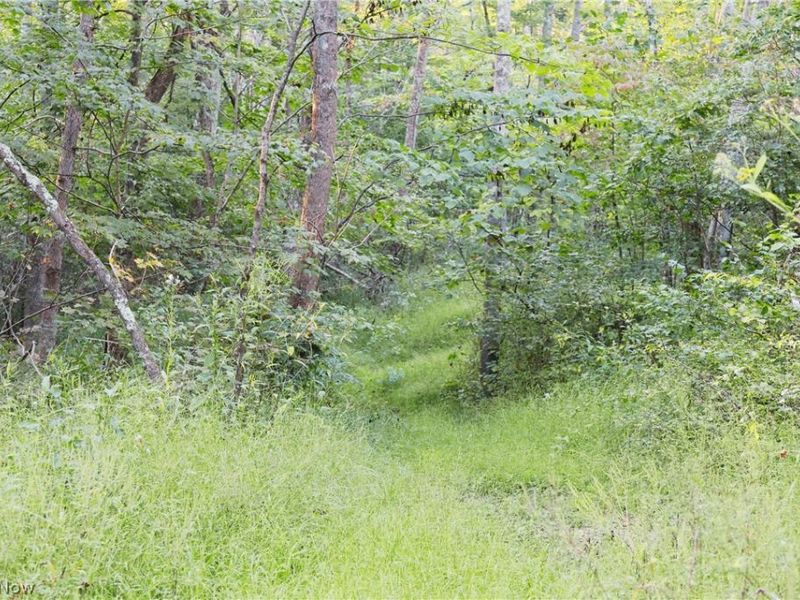 Yoker Valley Road, Quaker City, OH 43773 Photo 17