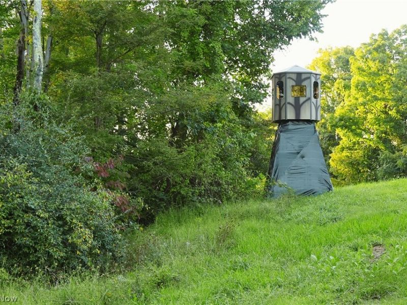 Yoker Valley Road, Quaker City, OH 43773 Photo 2