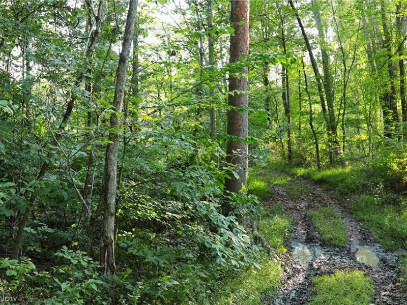 Yoker Valley Road, Quaker City, OH 43773 Photo 20