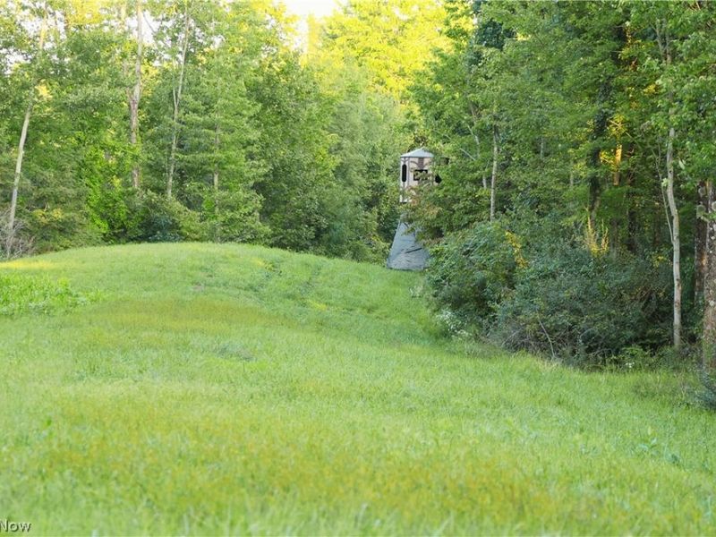 Yoker Valley Road, Quaker City, OH 43773 Photo 21