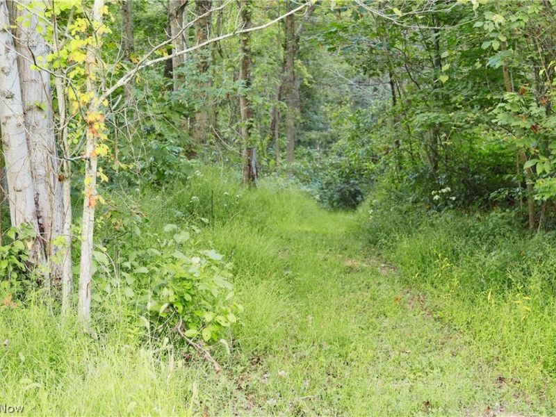 Yoker Valley Road, Quaker City, OH 43773 Photo 23
